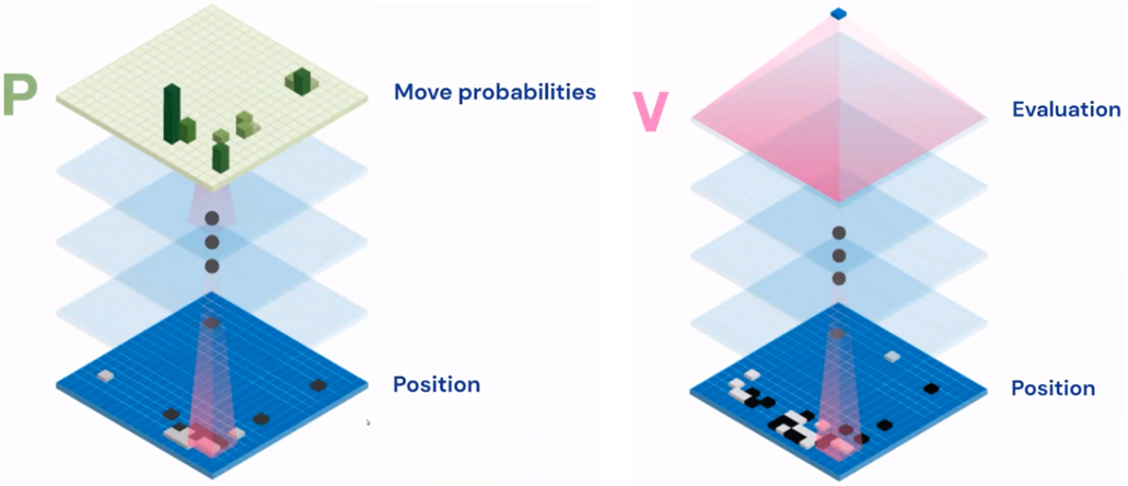 Image of Policy and Value Network